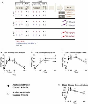 Adolescent Ethanol Exposure Leads to Stimulus-Specific Changes in Cytokine Reactivity and Hypothalamic-Pituitary-Adrenal Axis Sensitivity in Adulthood